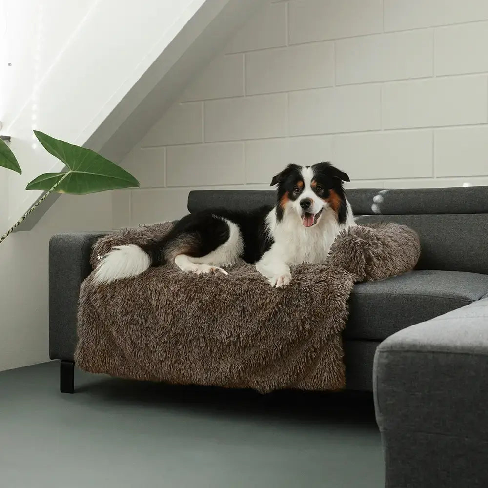 Orthoeasee® - Sofa Bezug für Haustiere