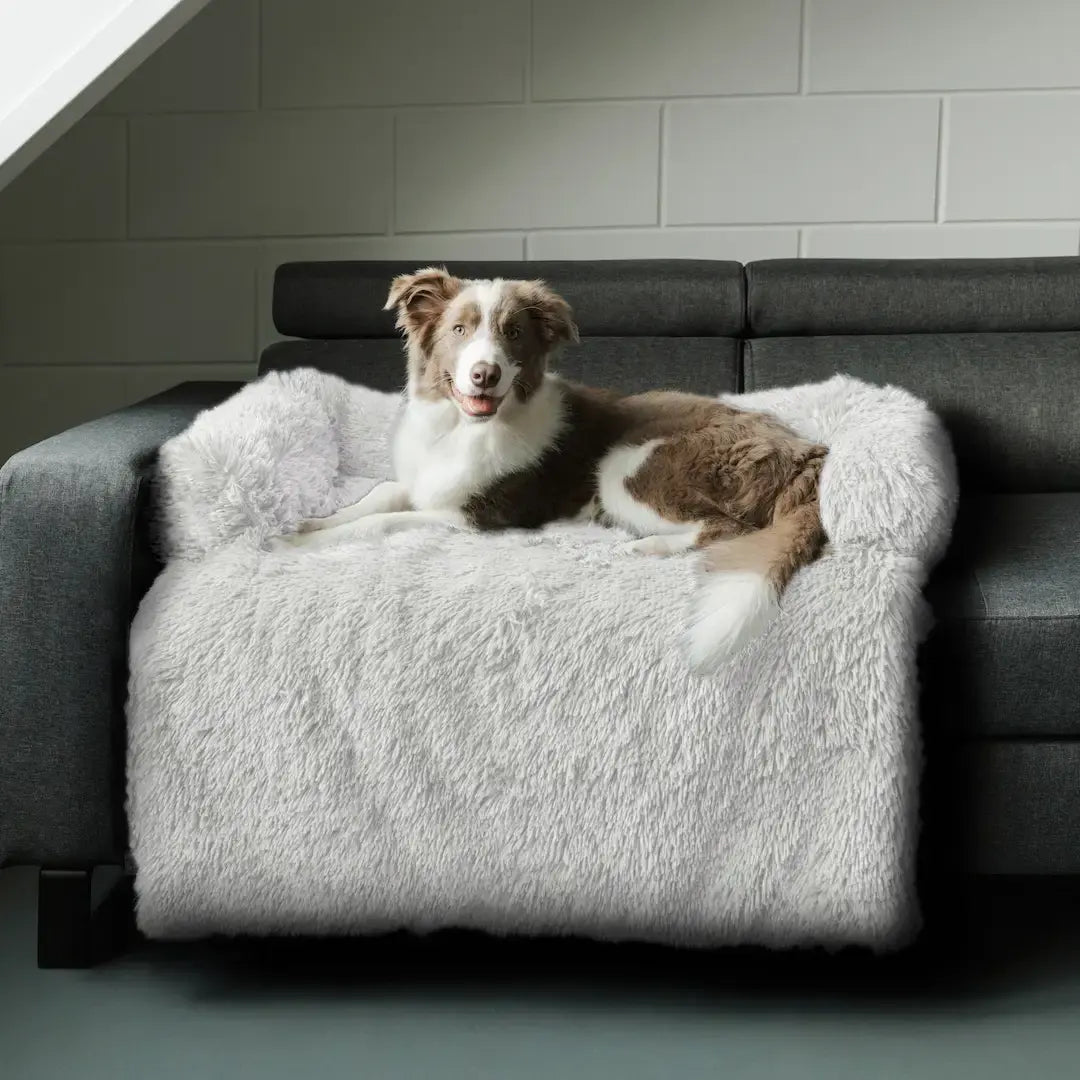 Orthoeasee® - Sofa Bezug für Haustiere
