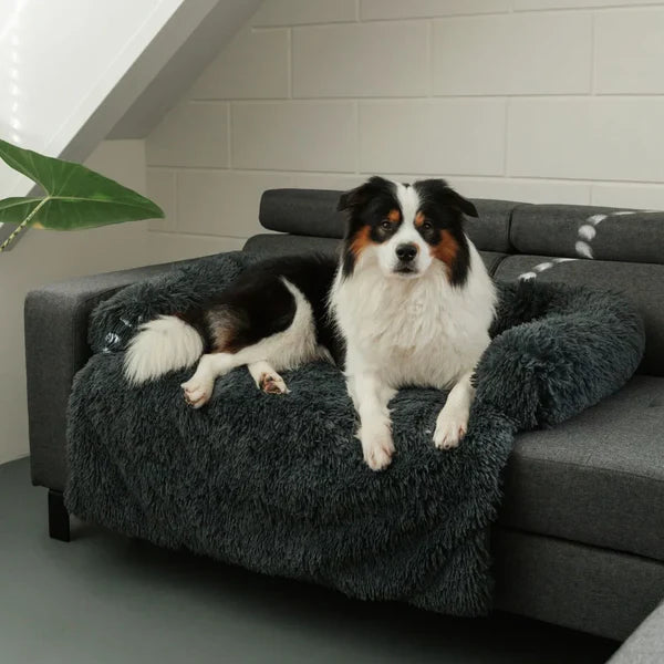 Orthoeasee® - Sofa Bezug für Haustiere